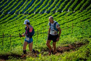 BIB: 2096, 954
                            <button type="button" onclick="openModal(19160555)" class="btn btn-primary btn-sm float-right btn-popup" data-toggle="modal" data-target=".modal-high-quality">
                        <i class="fas fa-shopping-cart"></i> Add to Cart
                    </button>
                                            <button type="button" onclick="isThisMe(19160555, true)" class="btn btn-success btn-sm float-right btn-popup btn-isme hidden" data-toggle="tooltip" data-placement="bottom" title="นี่คือรูปของคุณใช่ไหม คลิกที่นี่เพื่อเอาเข้าอัลบั้ม">
                        <i class="fas fa-plus"></i> Add to album
                    </button>
                    <button type="button" onclick="isThisMe(19160555, false)" class="btn btn-warning btn-sm float-right btn-popup btn-isnotme hidden">
                        <i class="fas fa-ban"></i> Remove from album
                    </button>